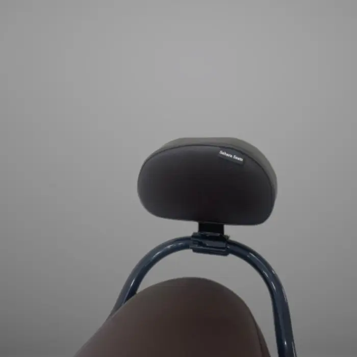 TVS Ronin Adjustable Back Rest